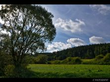 im lauterachtal.jpg